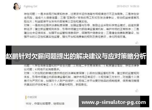 赵鹏针对欠薪问题提出的解决建议与应对策略分析