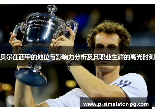 贝尔在西甲的地位与影响力分析及其职业生涯的高光时刻