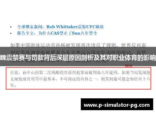 魏震禁赛与罚款背后深层原因剖析及其对职业体育的影响